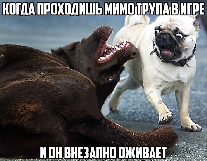 https:__sun1-87.userapi.com_G9vGeYZAsYFIoj-MBN2ZjM44XqeGmHrwLiMj9w_518IdvM8E00.jpg