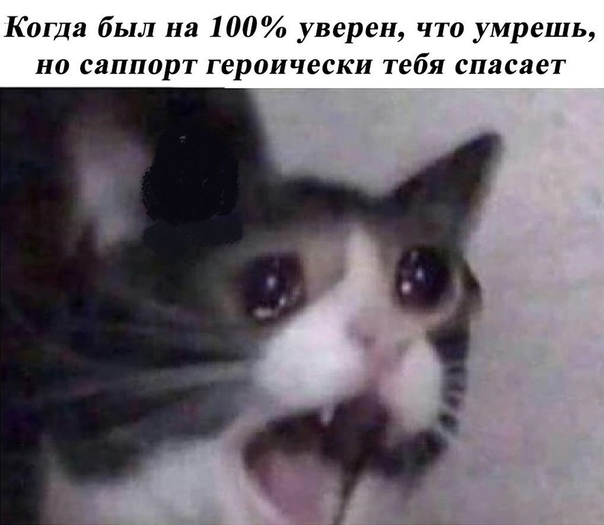 https:__sun6-2.userapi.com_c543106_v543106676_6127e_UR4B2q5-8Ww.jpg