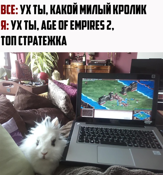 https:__sun6-2.userapi.com_c851336_v851336627_133ca4_j5DXGeHdpIo.jpg